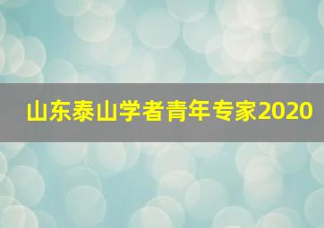 山东泰山学者青年专家2020