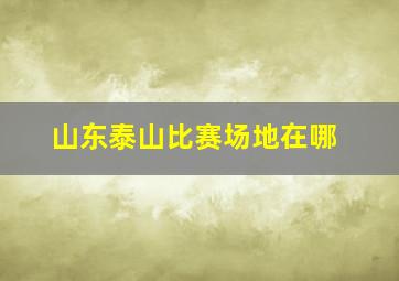 山东泰山比赛场地在哪