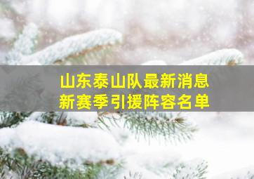 山东泰山队最新消息新赛季引援阵容名单