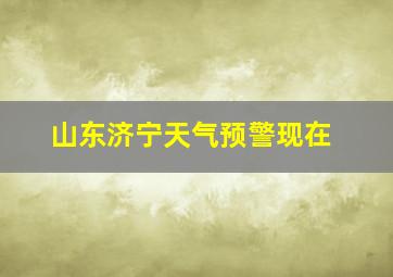 山东济宁天气预警现在