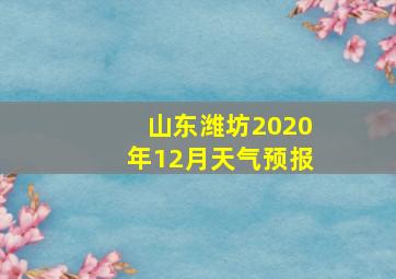 山东潍坊2020年12月天气预报