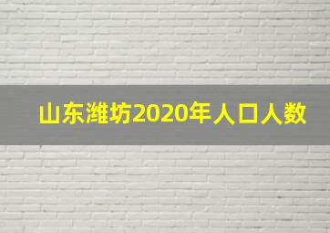 山东潍坊2020年人口人数