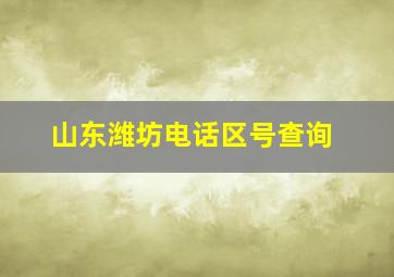 山东潍坊电话区号查询