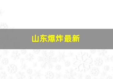 山东爆炸最新