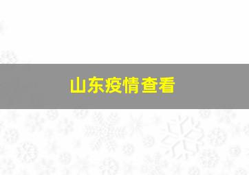 山东疫情查看