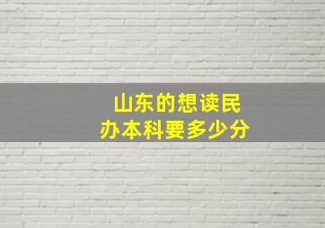 山东的想读民办本科要多少分