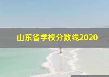 山东省学校分数线2020