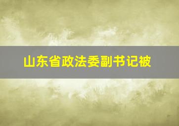 山东省政法委副书记被