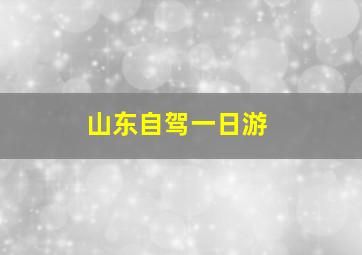 山东自驾一日游