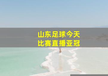 山东足球今天比赛直播亚冠