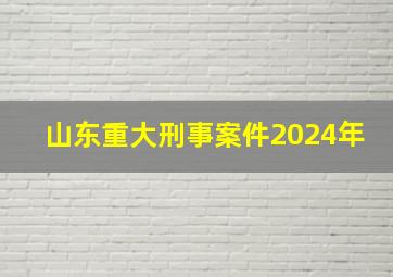 山东重大刑事案件2024年