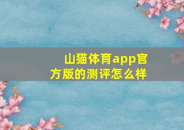 山猫体育app官方版的测评怎么样