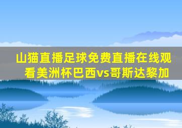 山猫直播足球免费直播在线观看美洲杯巴西vs哥斯达黎加