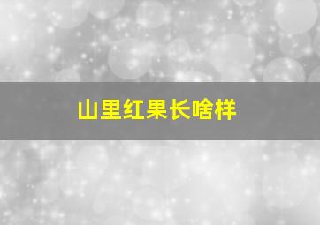 山里红果长啥样