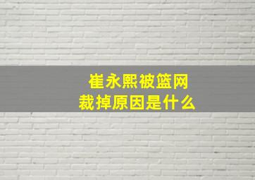 崔永熙被篮网裁掉原因是什么