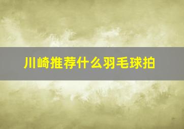 川崎推荐什么羽毛球拍