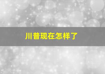 川普现在怎样了