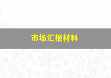 市场汇报材料