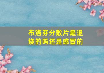 布洛芬分散片是退烧的吗还是感冒的