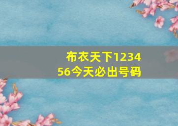 布衣天下123456今天必出号码