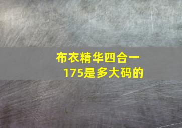 布衣精华四合一175是多大码的