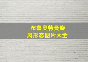 布鲁奥特曼旋风形态图片大全