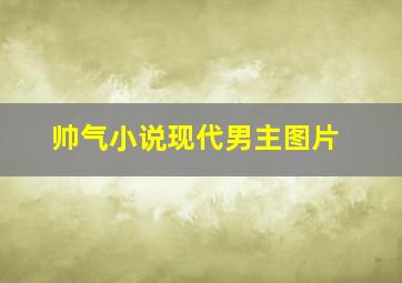 帅气小说现代男主图片