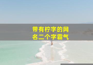 带有柠字的网名二个字霸气