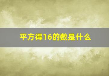 平方得16的数是什么