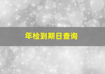 年检到期日查询