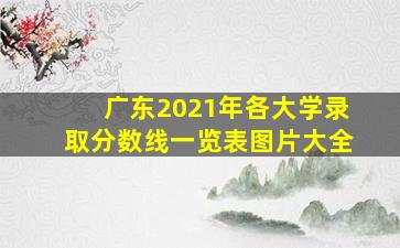 广东2021年各大学录取分数线一览表图片大全