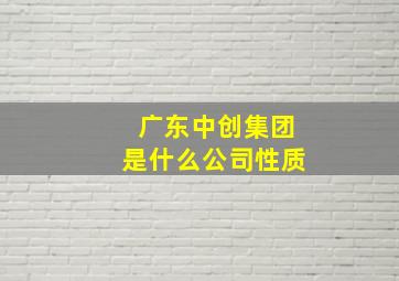 广东中创集团是什么公司性质