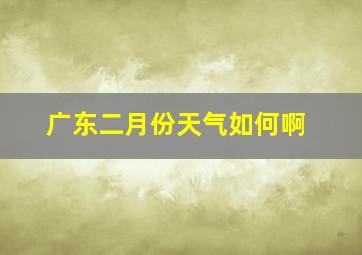 广东二月份天气如何啊