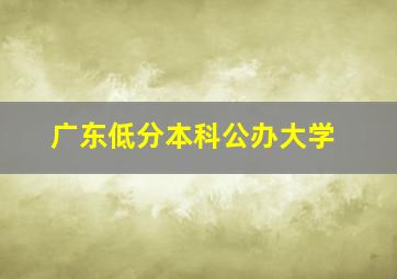 广东低分本科公办大学