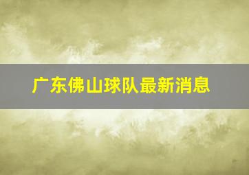 广东佛山球队最新消息