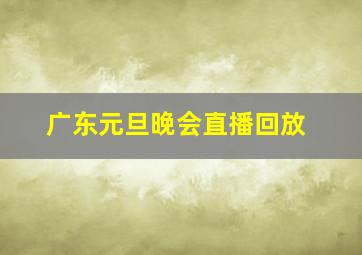 广东元旦晚会直播回放