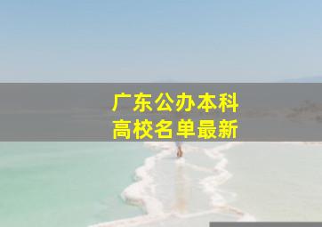 广东公办本科高校名单最新