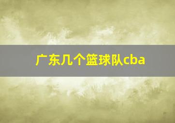 广东几个篮球队cba