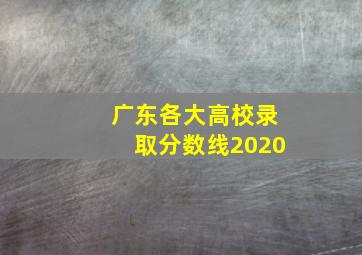 广东各大高校录取分数线2020