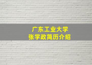 广东工业大学张学政简历介绍