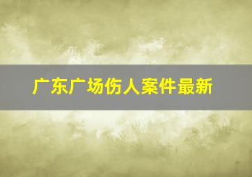 广东广场伤人案件最新