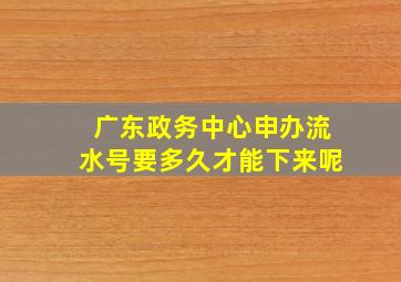 广东政务中心申办流水号要多久才能下来呢