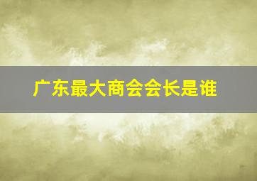 广东最大商会会长是谁