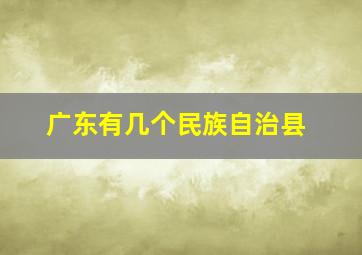 广东有几个民族自治县