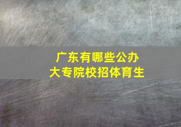 广东有哪些公办大专院校招体育生