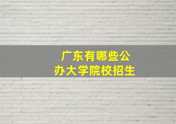 广东有哪些公办大学院校招生