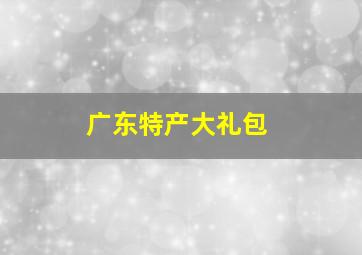 广东特产大礼包