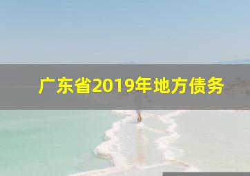 广东省2019年地方债务