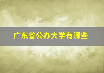 广东省公办大学有哪些