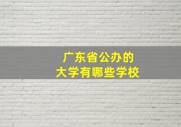 广东省公办的大学有哪些学校